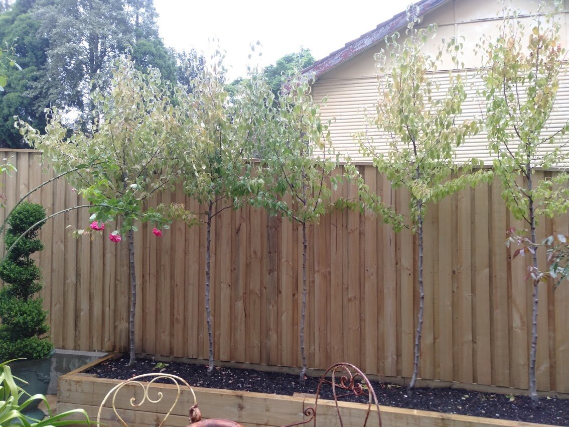 NB's - cap & lap fence with planter box.jpg