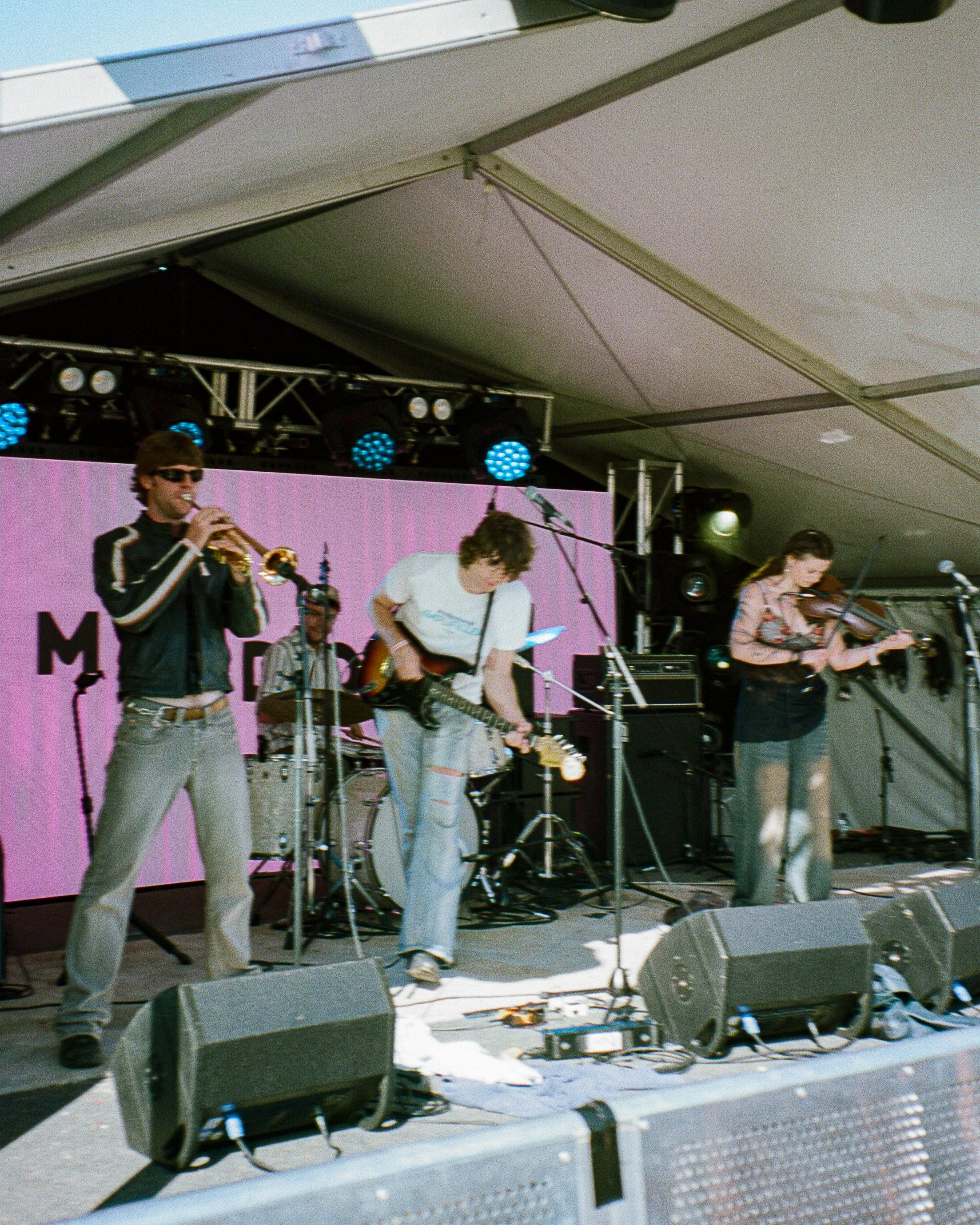 meadow53.jpg