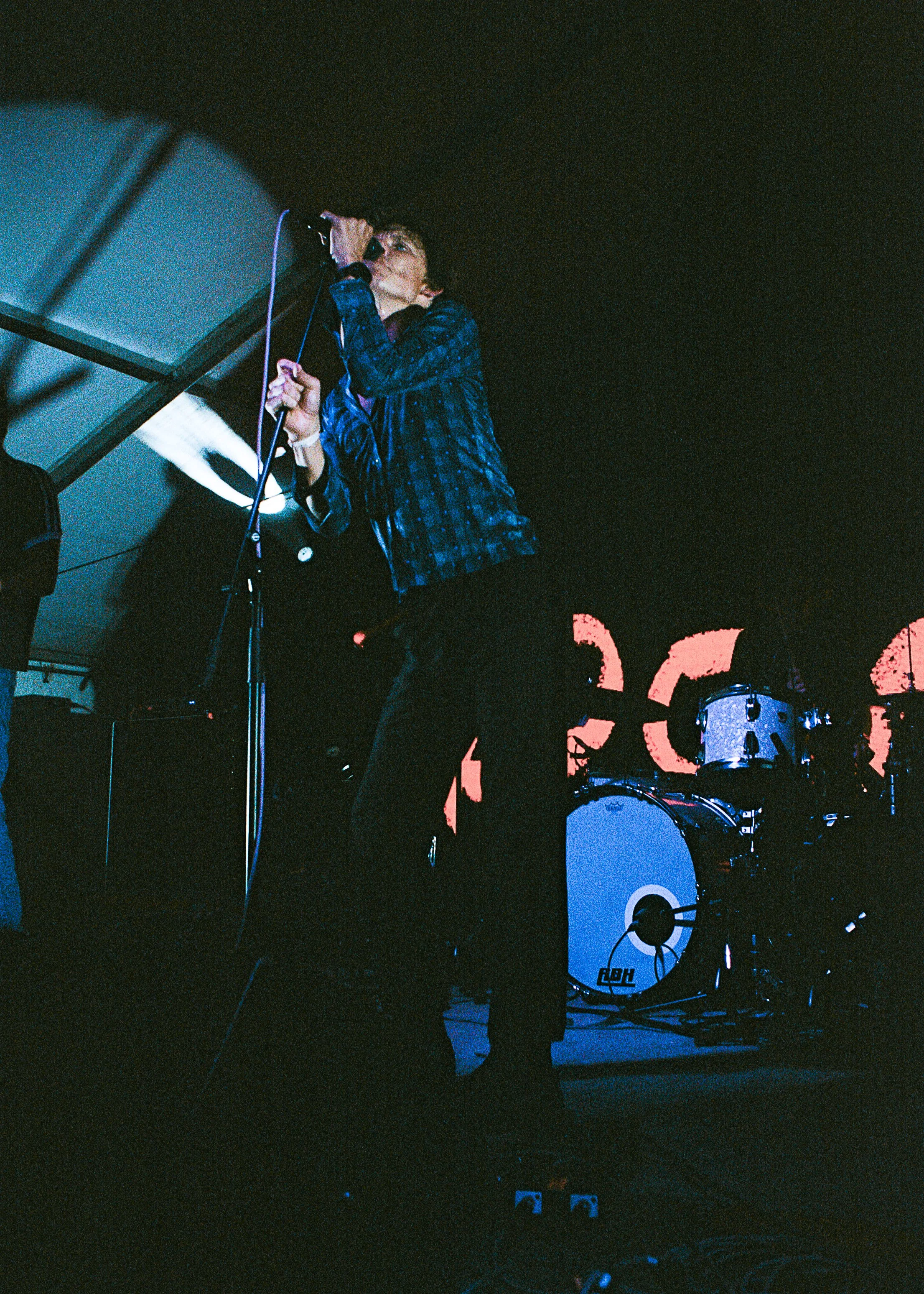 meadow41.jpg