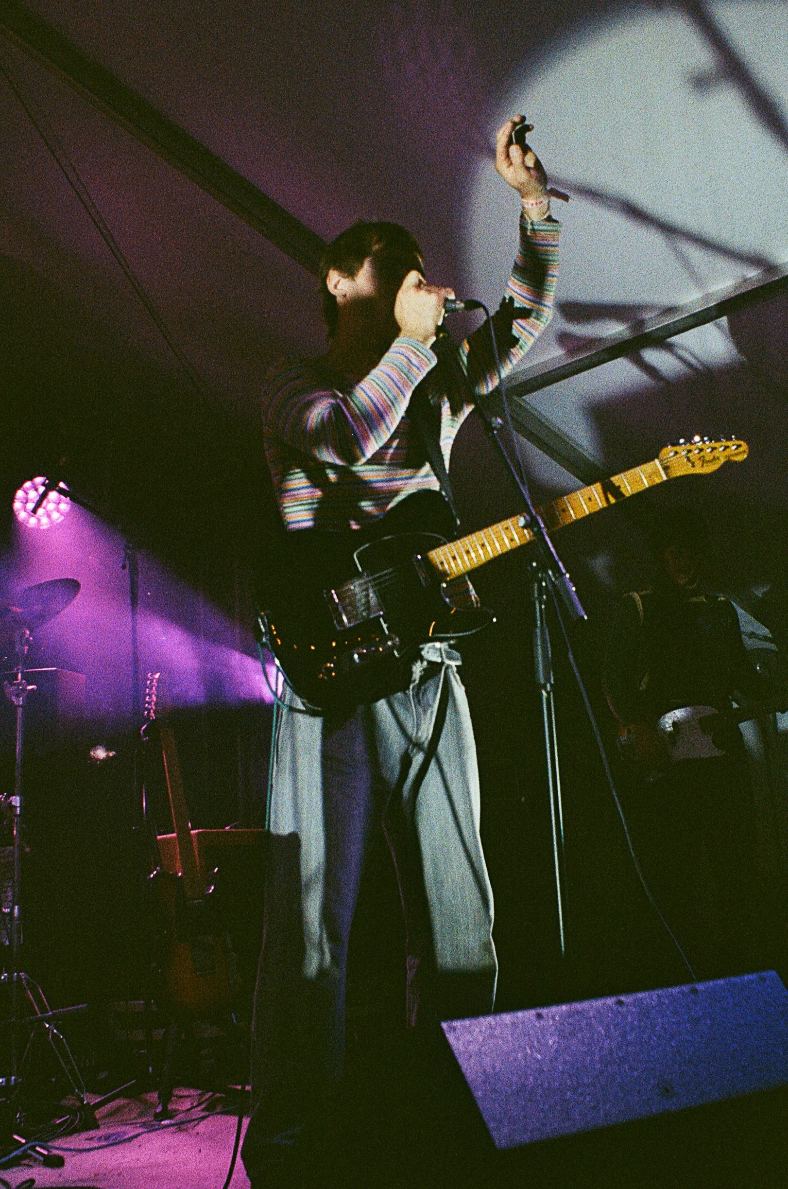 meadow43.jpg