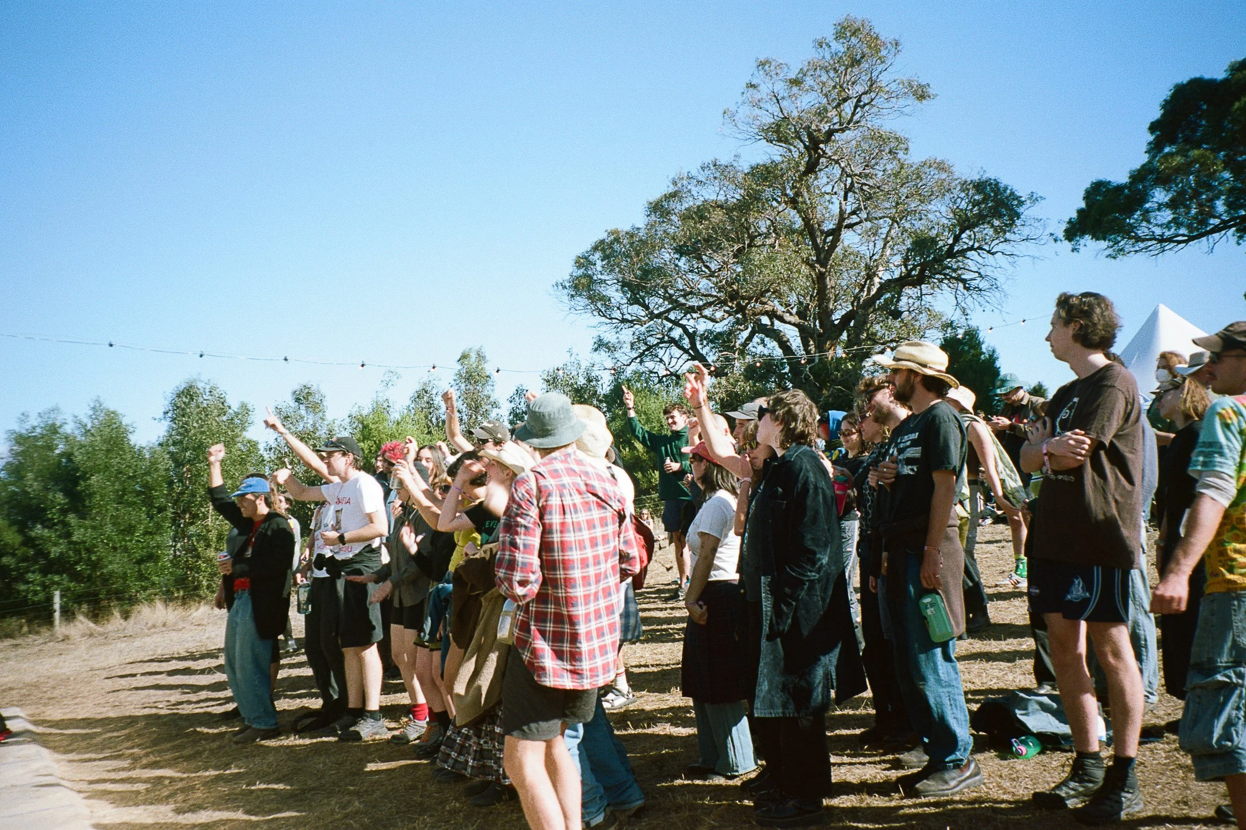 meadow54.jpg