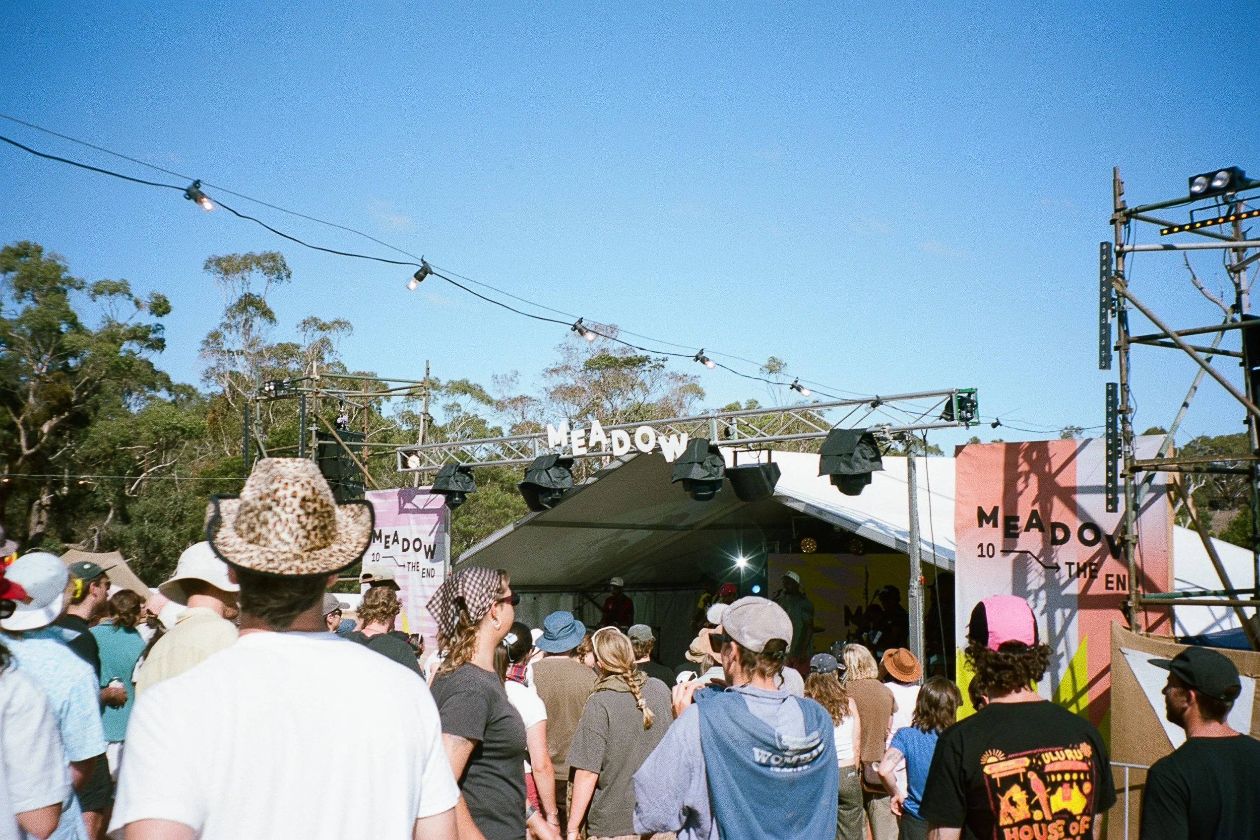 meadow50.jpg
