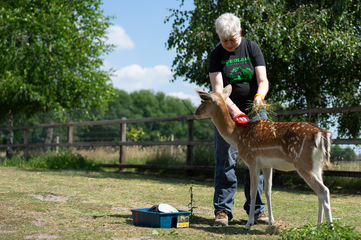 Verzorgen van dieren
