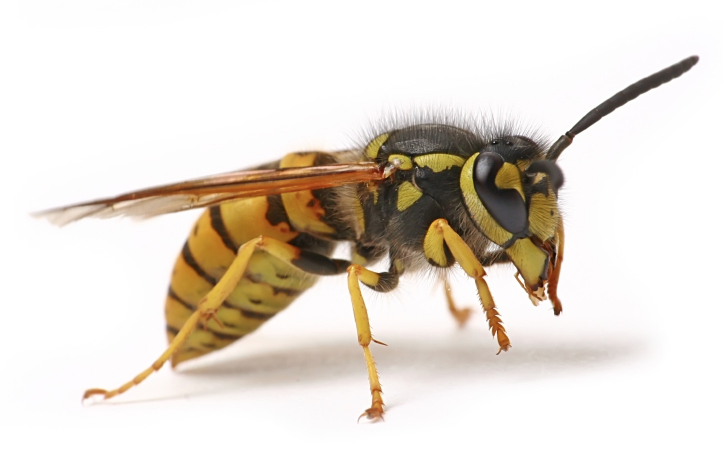 Screenshot 2020-04-25 at 18.34.18.png