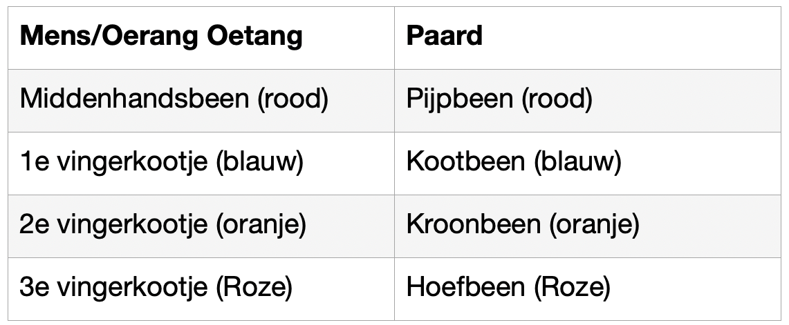 Screenshot 2020-05-01 at 11.24.06.png