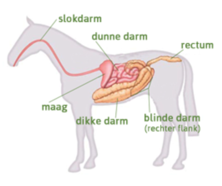 Screenshot 2020-05-01 at 11.33.53.png