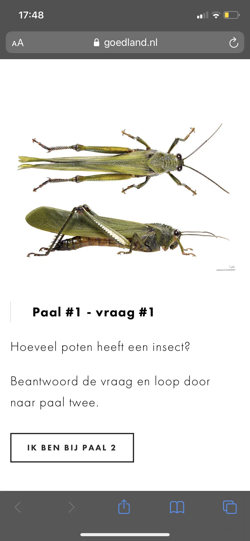 Screenshot uit de ‘insectentocht’. In deze tocht test je je kennis over insecten, bij iedere paal beantwoord je een vraag alvorens door te lopen naar de volgende paal.
