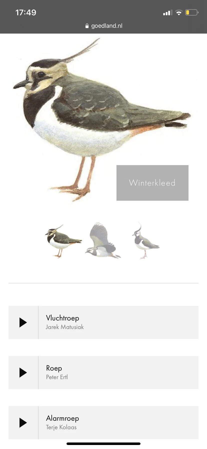 Screenshot uit de vogeltocht, dit is een audiotocht waarbij je bij iedere paal luistert naar de verschillende vogelgeluiden van de vogels die op Goedland wonen.