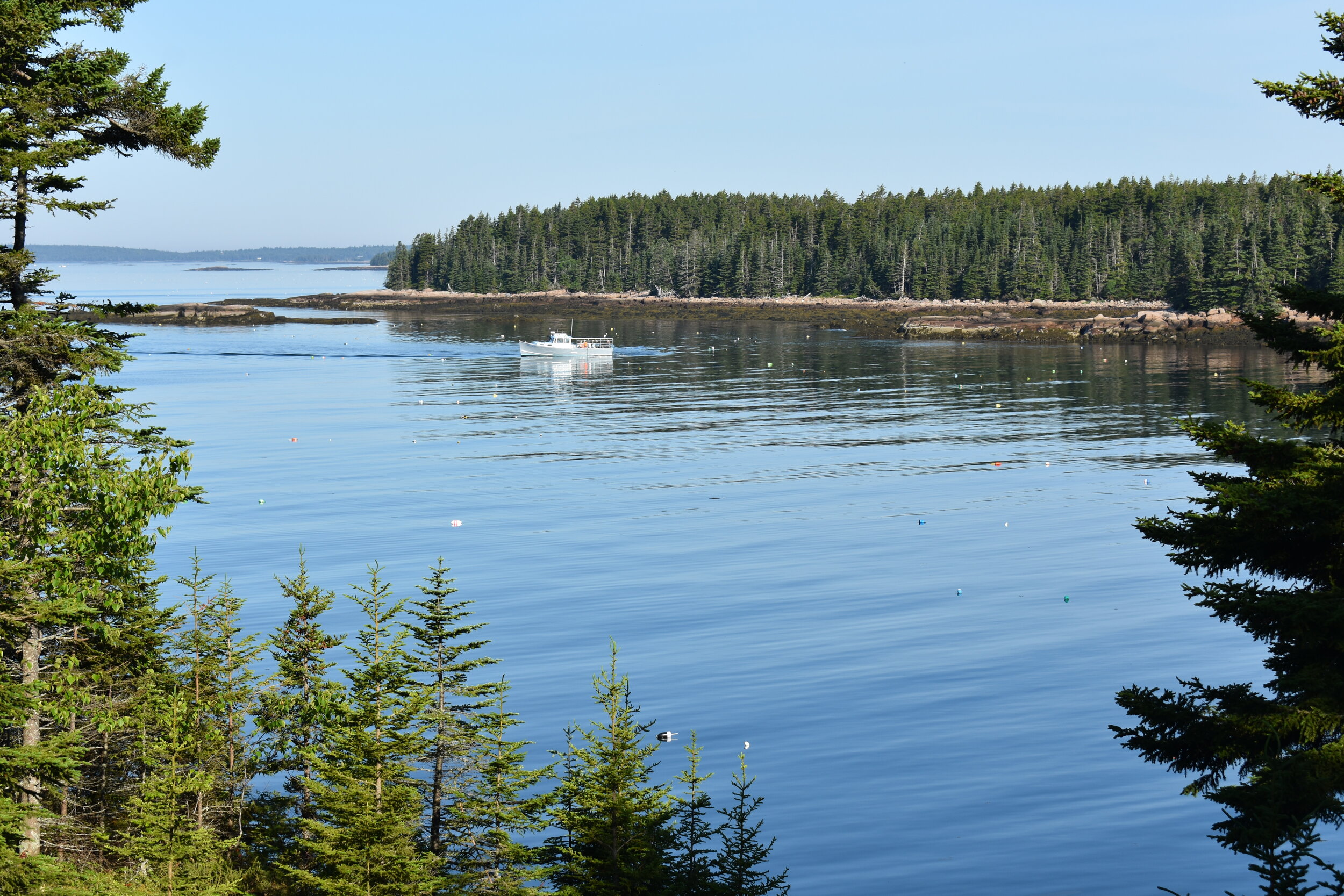 DSC_0098.JPG