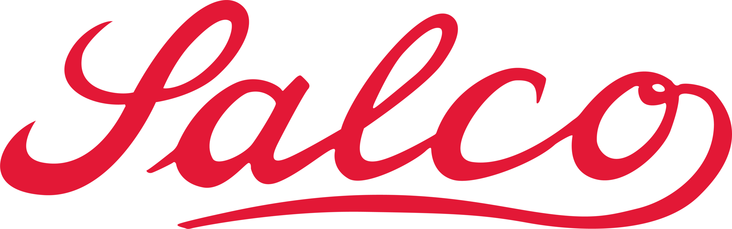 Salco Logo.png