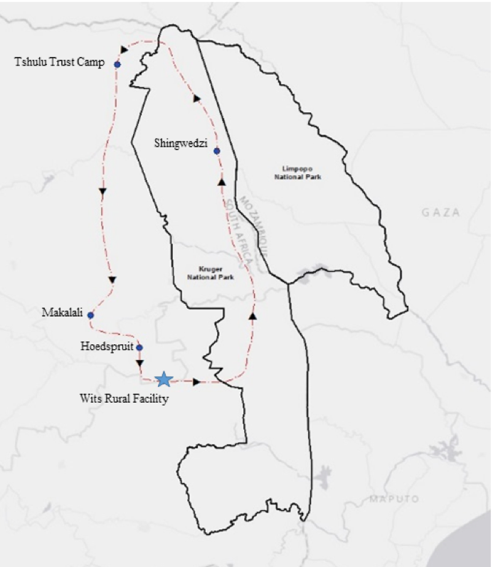 Figure 1 – Kruger National Park is located on the northeastern edge of South Africa, on the border of Mozambique and Zimbabwe. The Communities and Conservation Program travels in a big loop, from the University of the Witswatersrand’s rural research base (Wits Rural Facility), through Kruger, and stops in numerous communities while visiting a variety of game reserves, and conservation facilities.