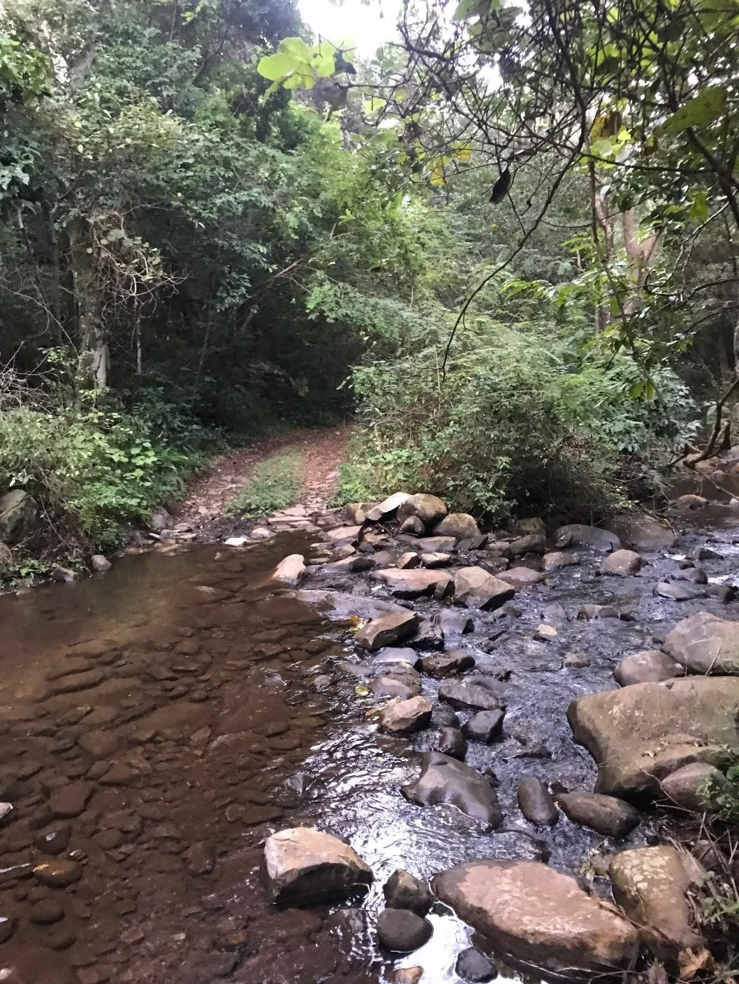 This was taken from inside the nature reserve at Lekgalameetse. You can easily see the differences from being here to being in and around Kruger.