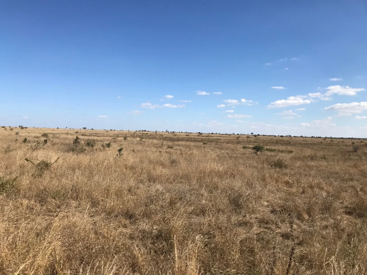 Changing Ecosystems