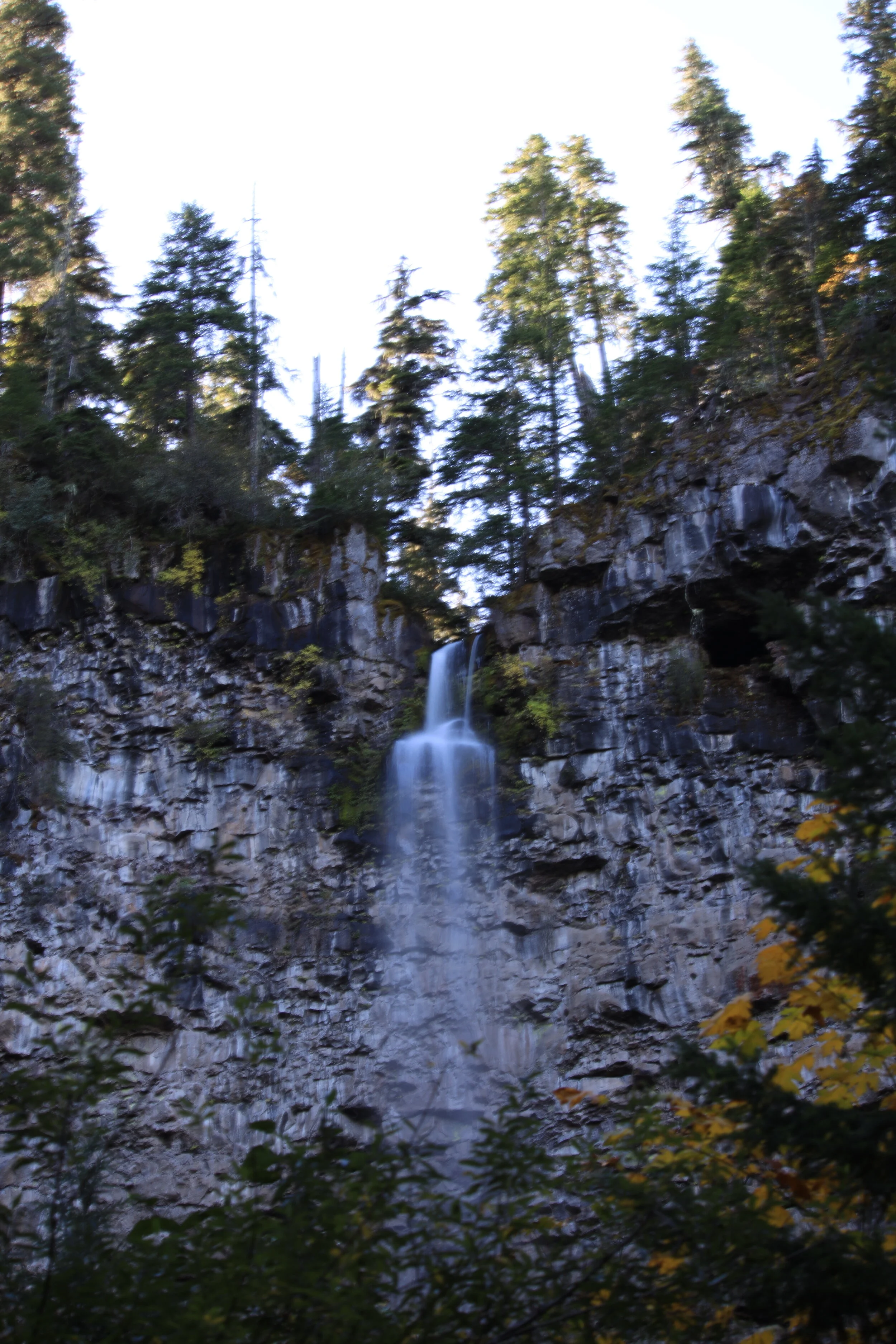 3F8A0561.JPG