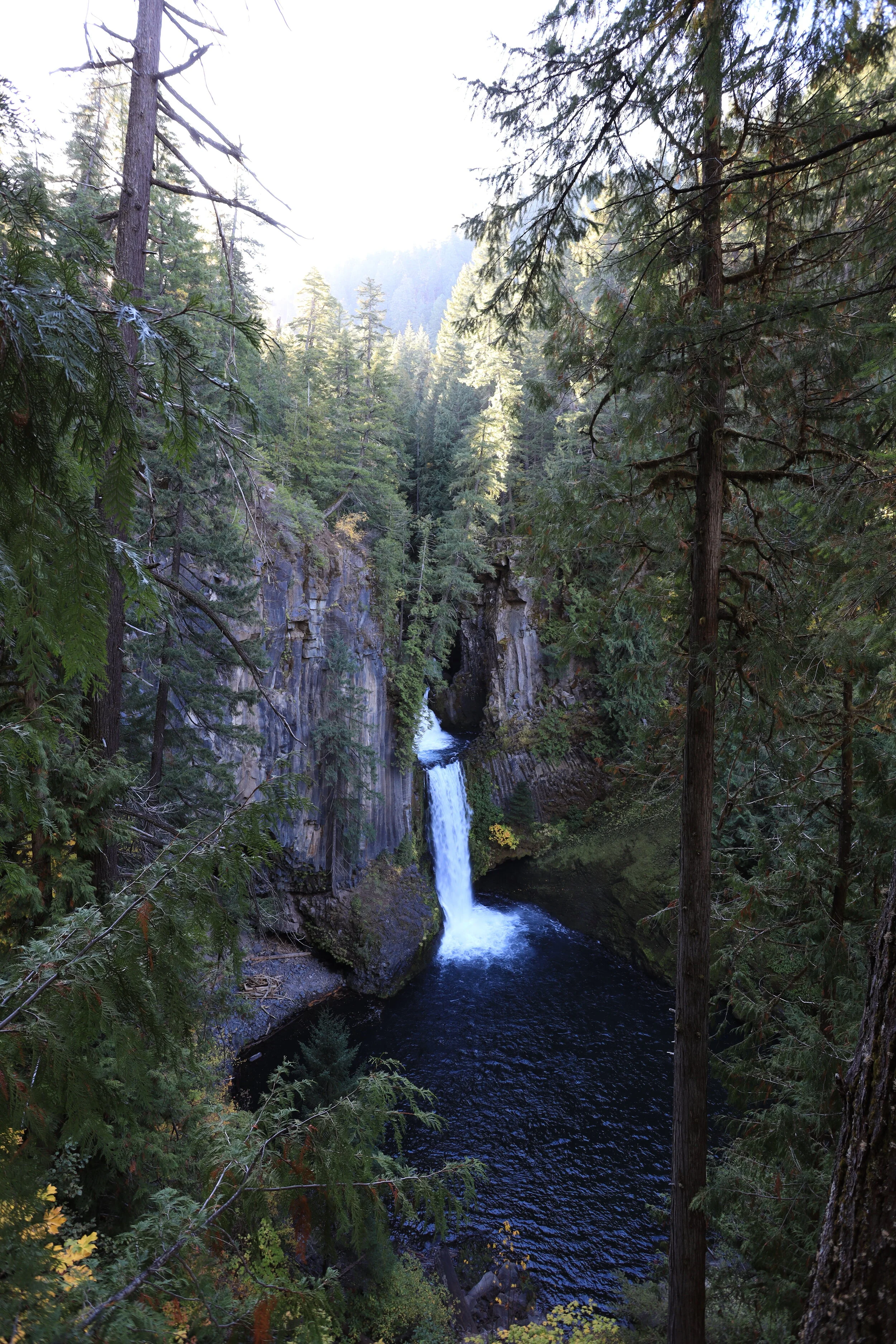 3F8A0542.JPG