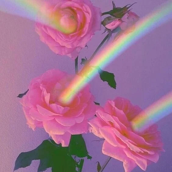 Reviving your cozy place: the Taurus New Moon + Forecast for May 9th - May 15th