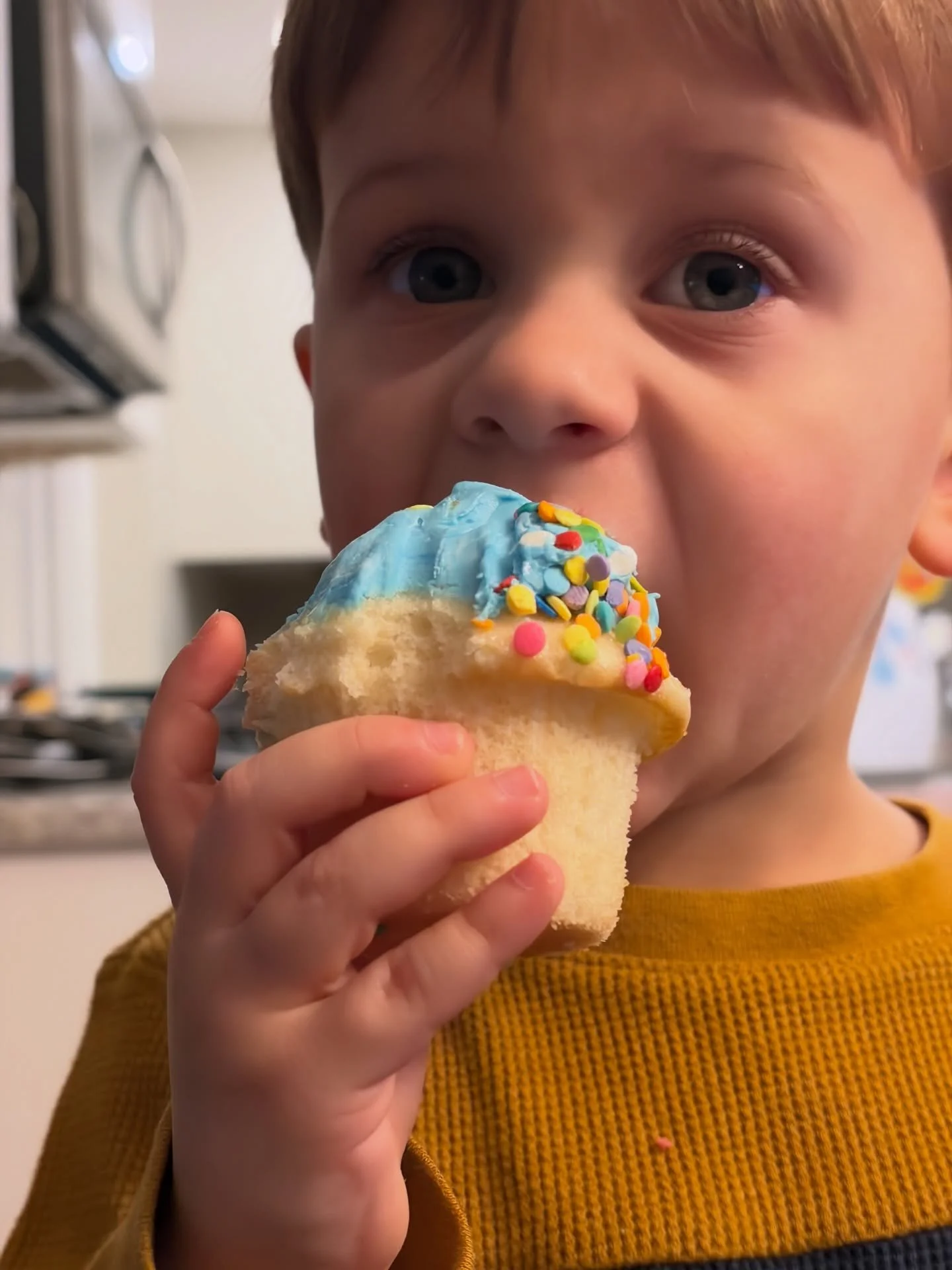 Last week, we celebrated my little guy&rsquo;s birthday! Nova Fox is officially 3✨🦊 Over the past couple of weeks, he&rsquo;s been in a major developmental leap. His imagination has accelerated and he&rsquo;s making up all kinds of new games for us 