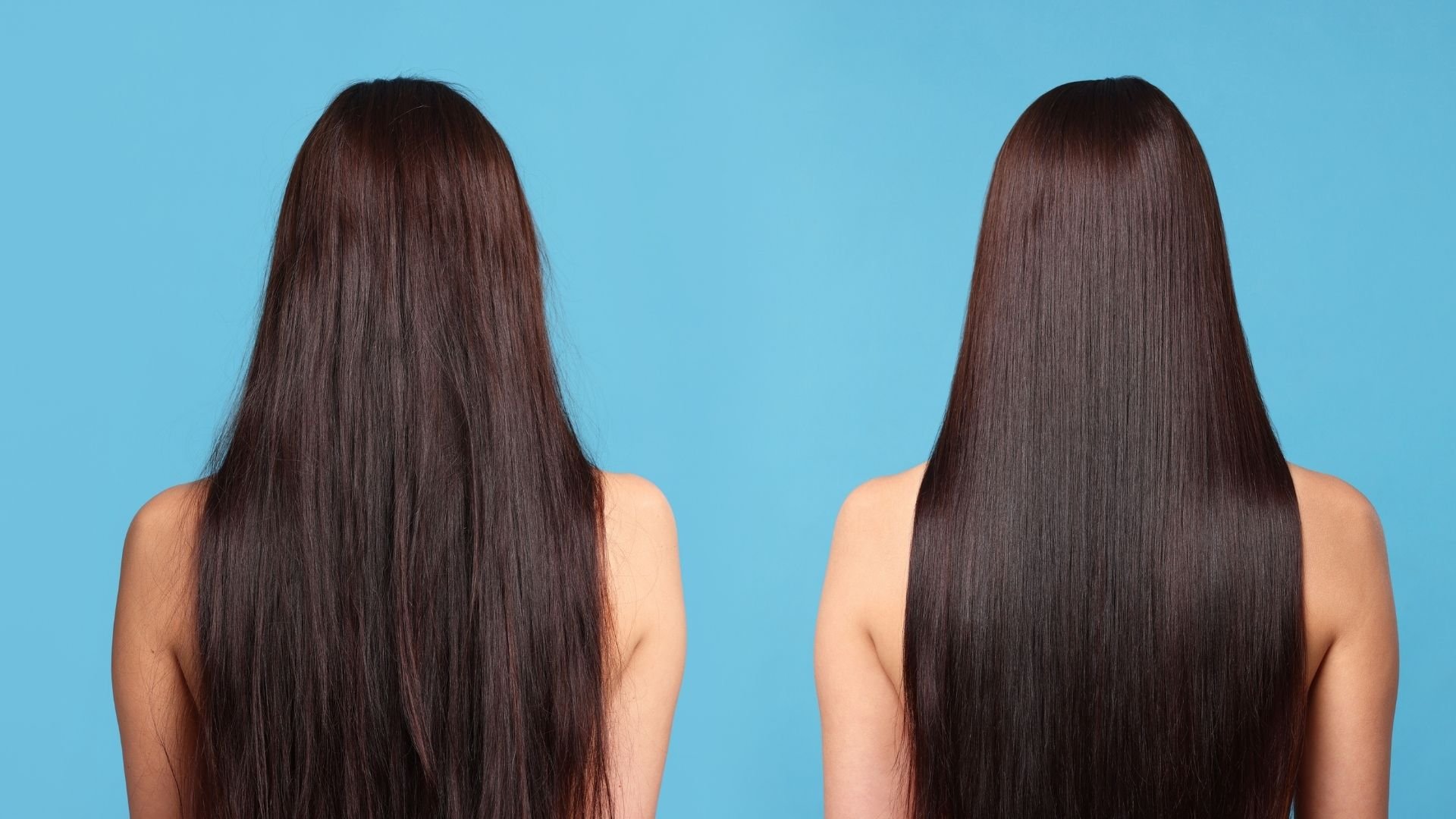 dry hair vs hydrated hair texture denver salon