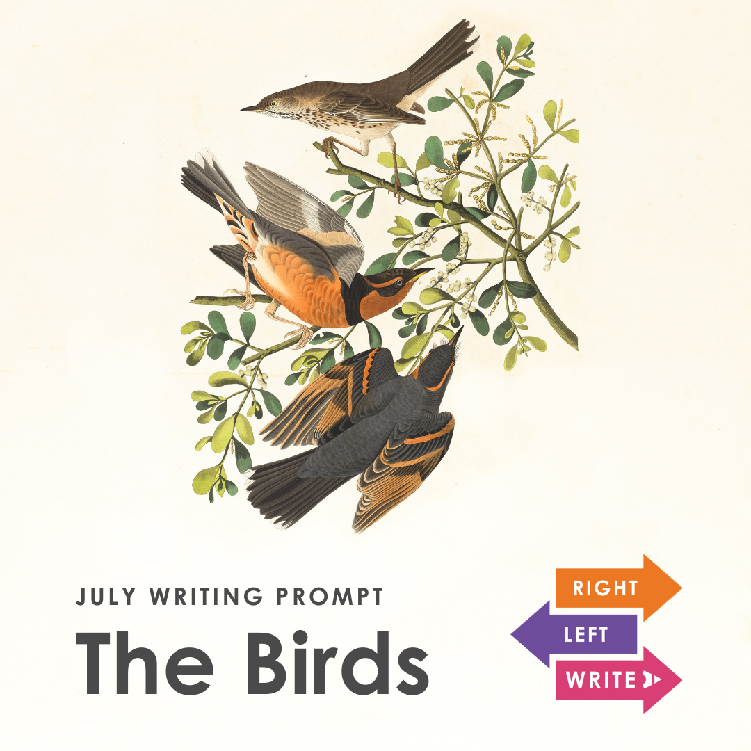 July 2021: The Birds - Amelie Lattik