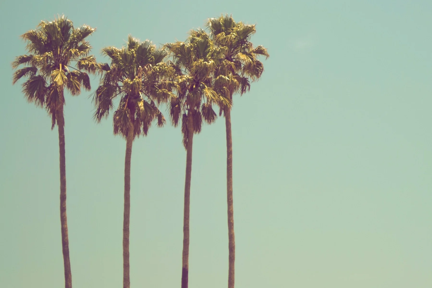 Episode 5 - Out and Back. Post-Holiday Download.