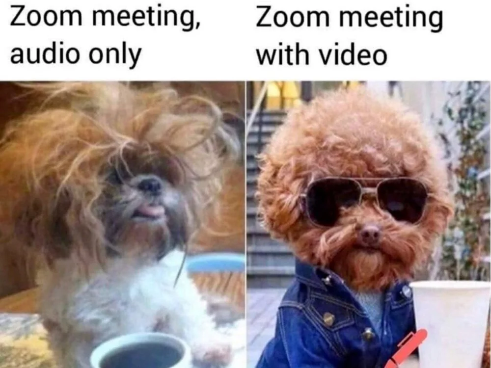 Episode 24 - All Dressed Up with No Zoom to Go