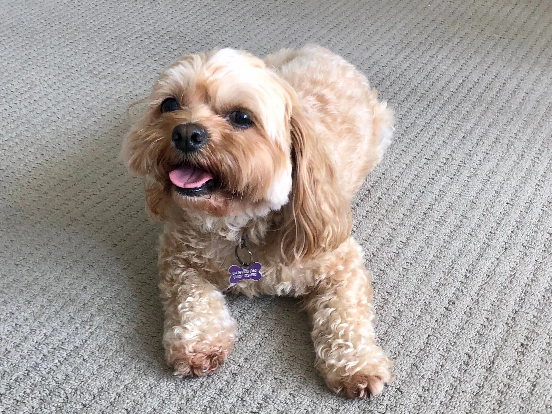 Episode 25 – In the Park with Charlie!