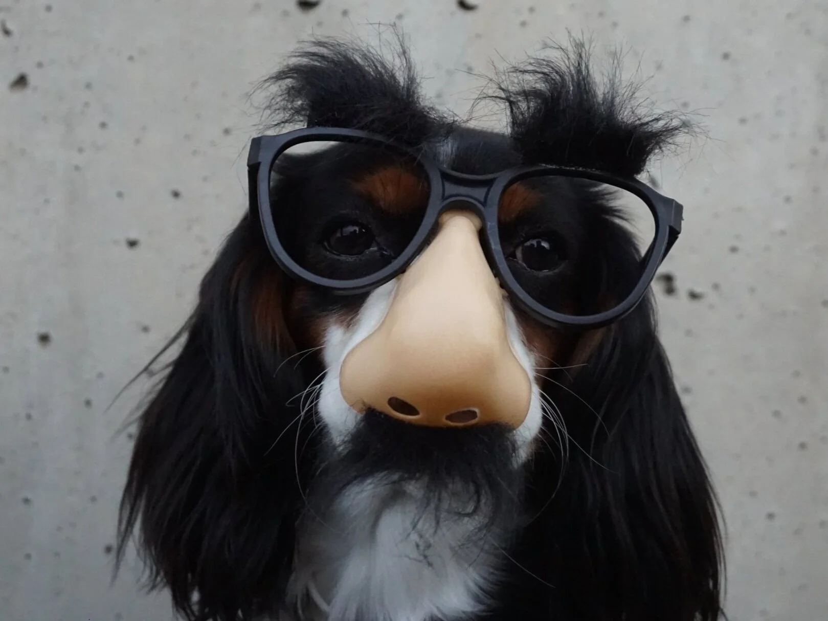 Episode 26 - Call me on the Burner Phone