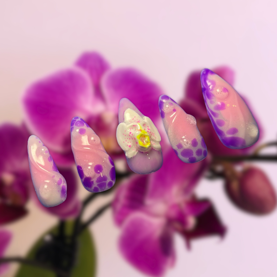 FAF17F37-1003-42D6-A326-8C2F33C3924D.png