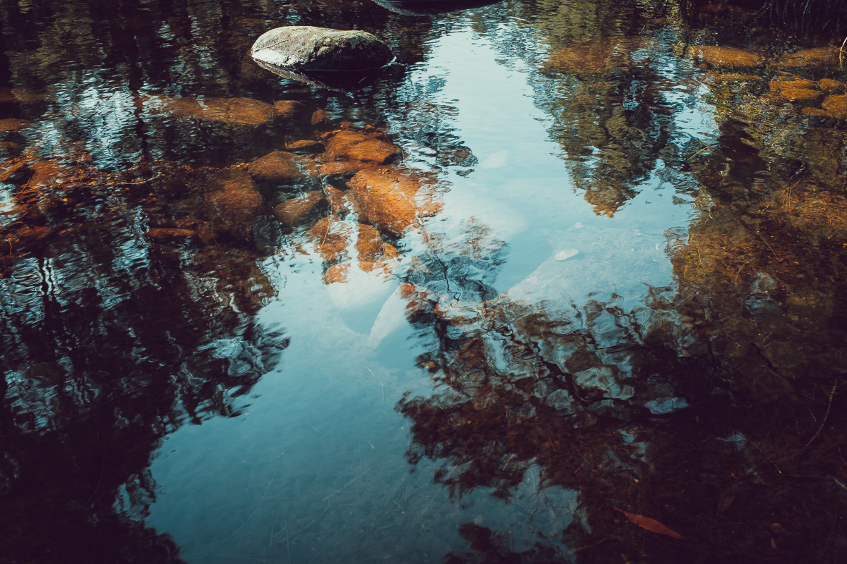 DSCF0317.jpg