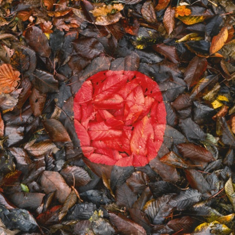 andy-goldsworthy-springtime.jpg