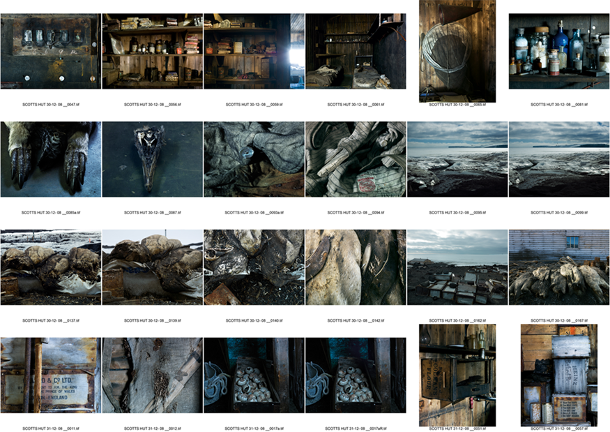 one of Jane's contact sheets