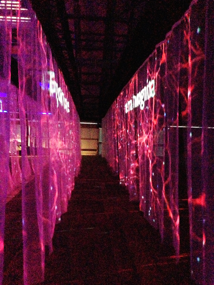 inside three urtains.png