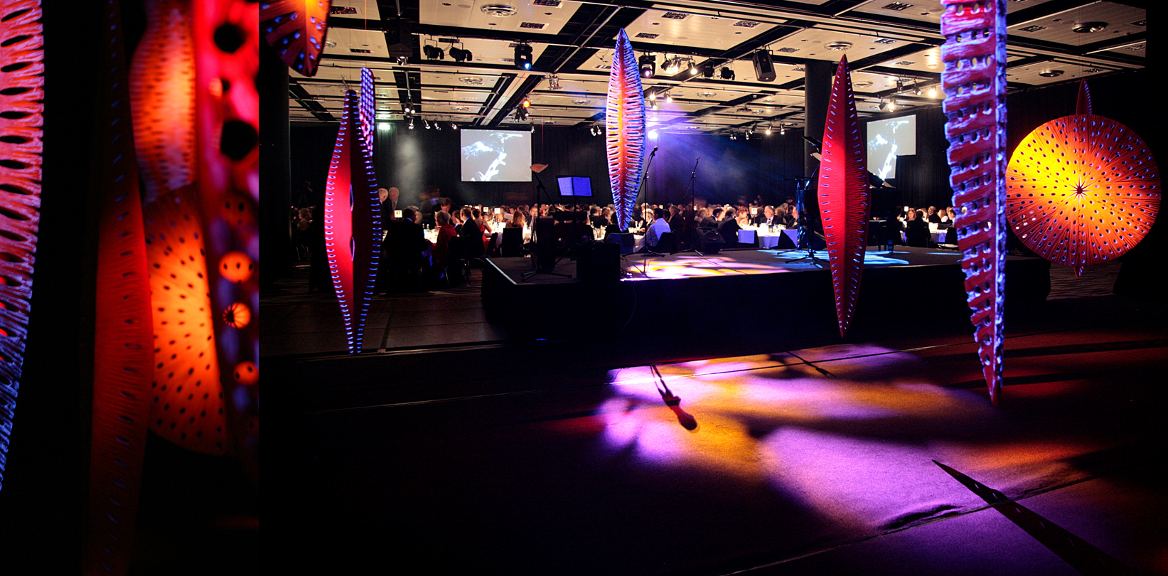 The Gala dinner with Virgina King’s Antartic Heart installation. Lit by the incomparable Bryan Caldwell.