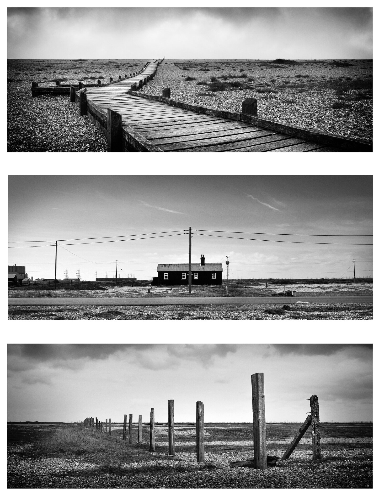  Desert portraits 