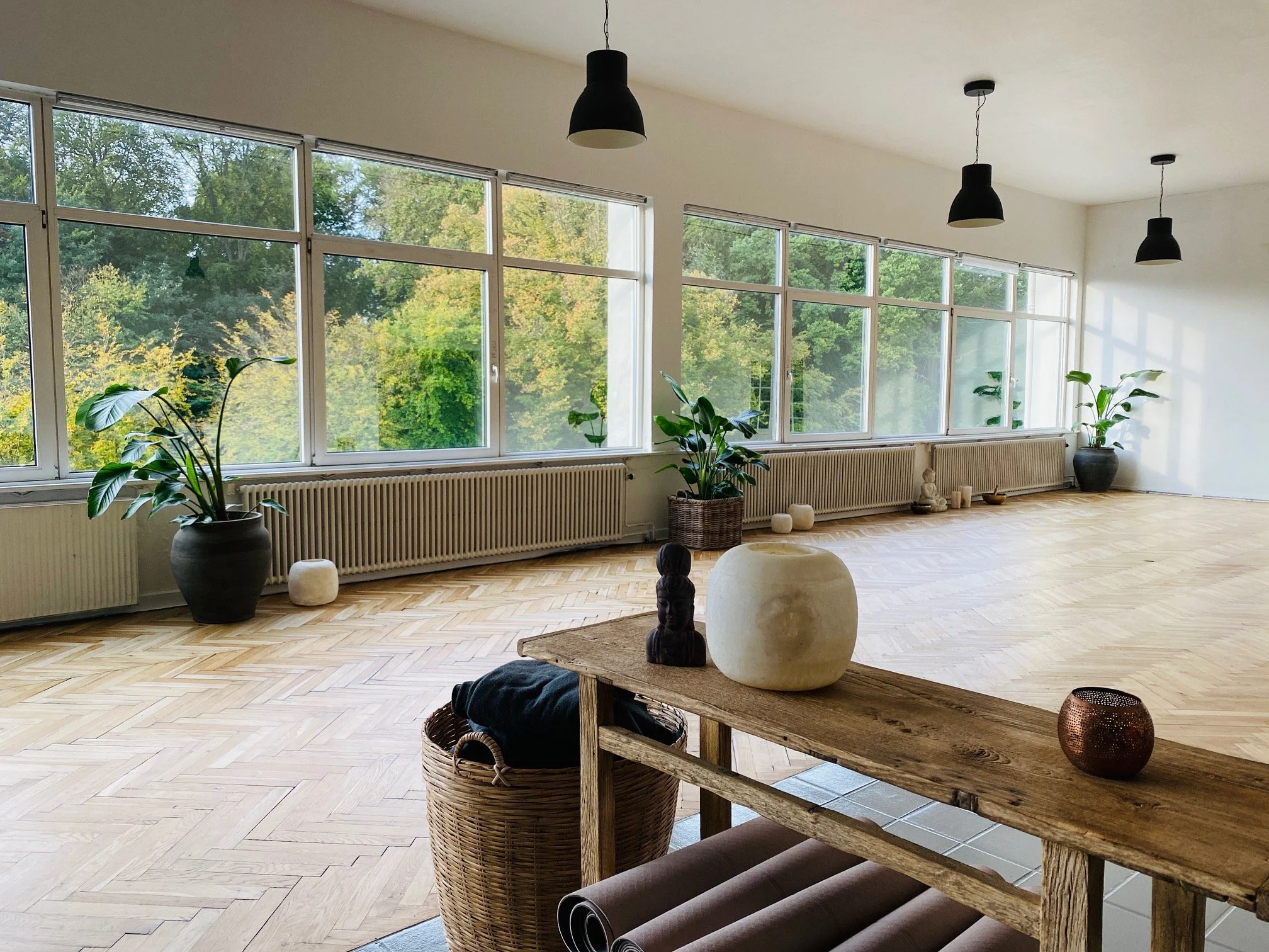 Sæt din intention for 2026 - Mindfulness og Yoga Nidra - Januar 2026