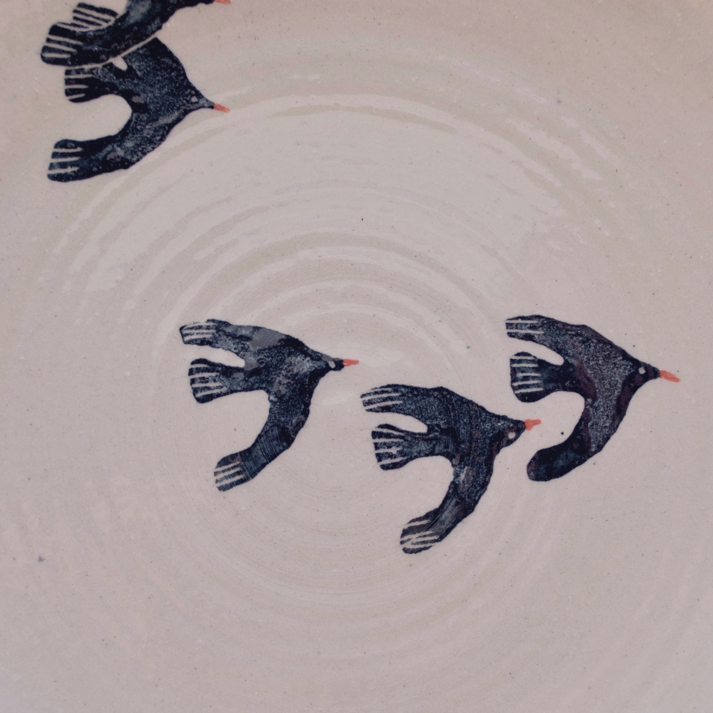 vogelschwarm webseite.jpg