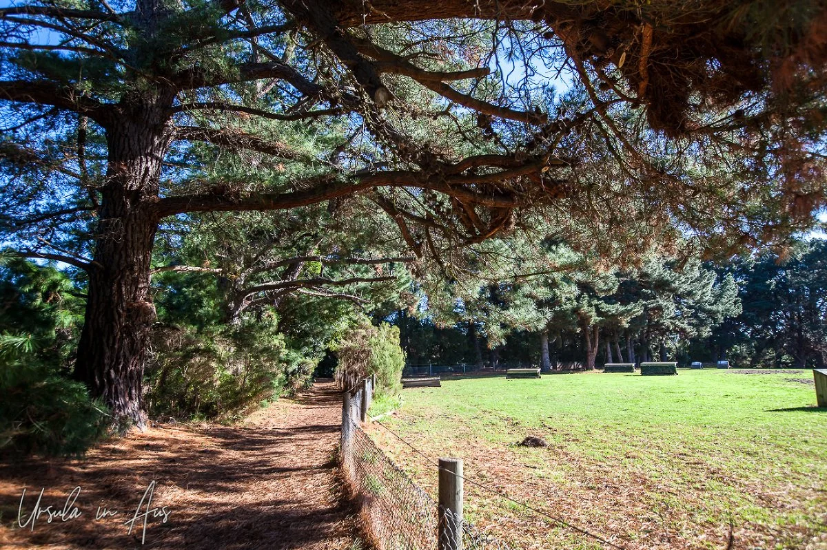 00002-Shaded-Rail-Trail_8156(pp_w1200_h799).jpg