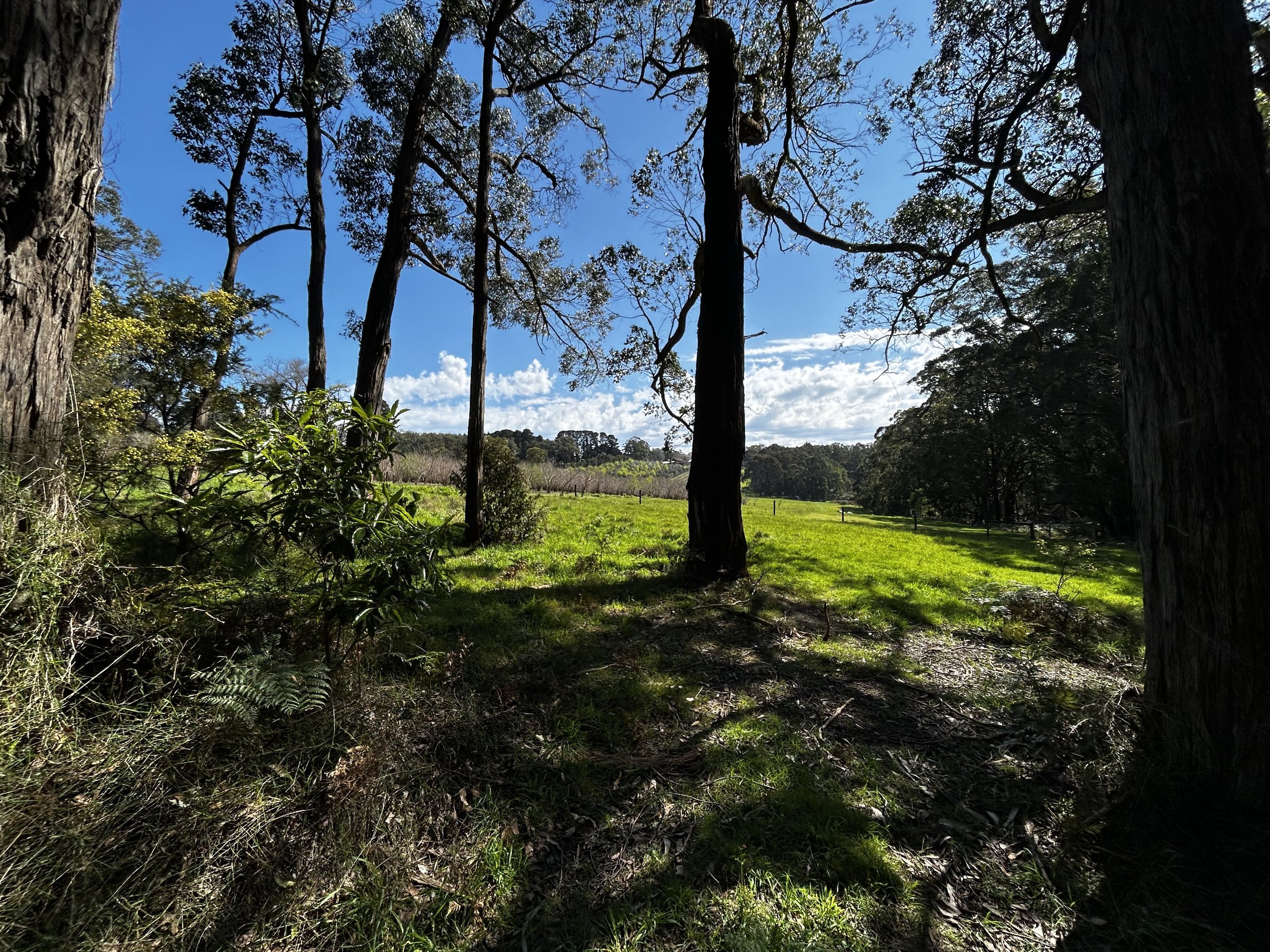 View_8.jpg