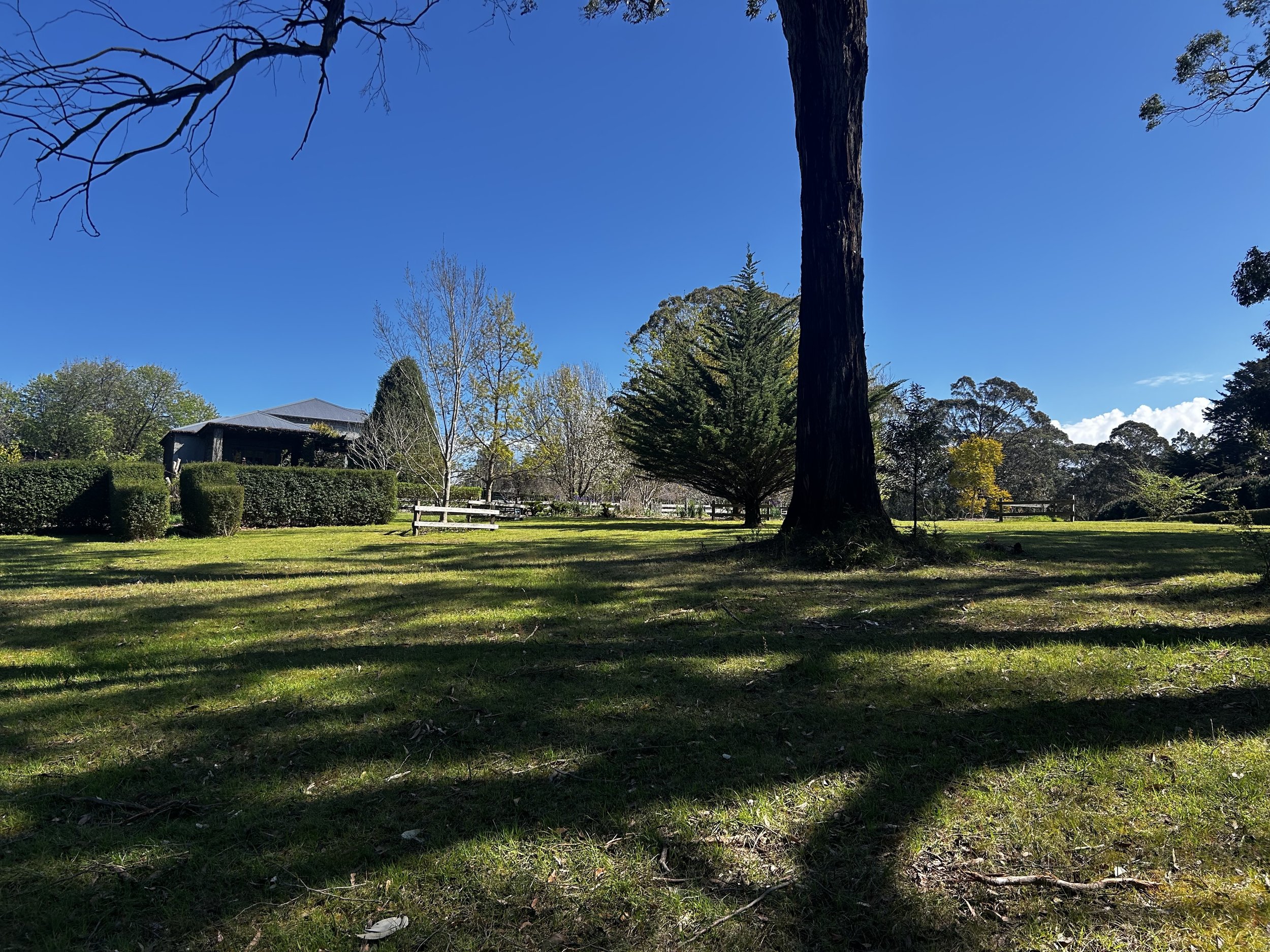 A shady spot for Qigong in case its a hot day.