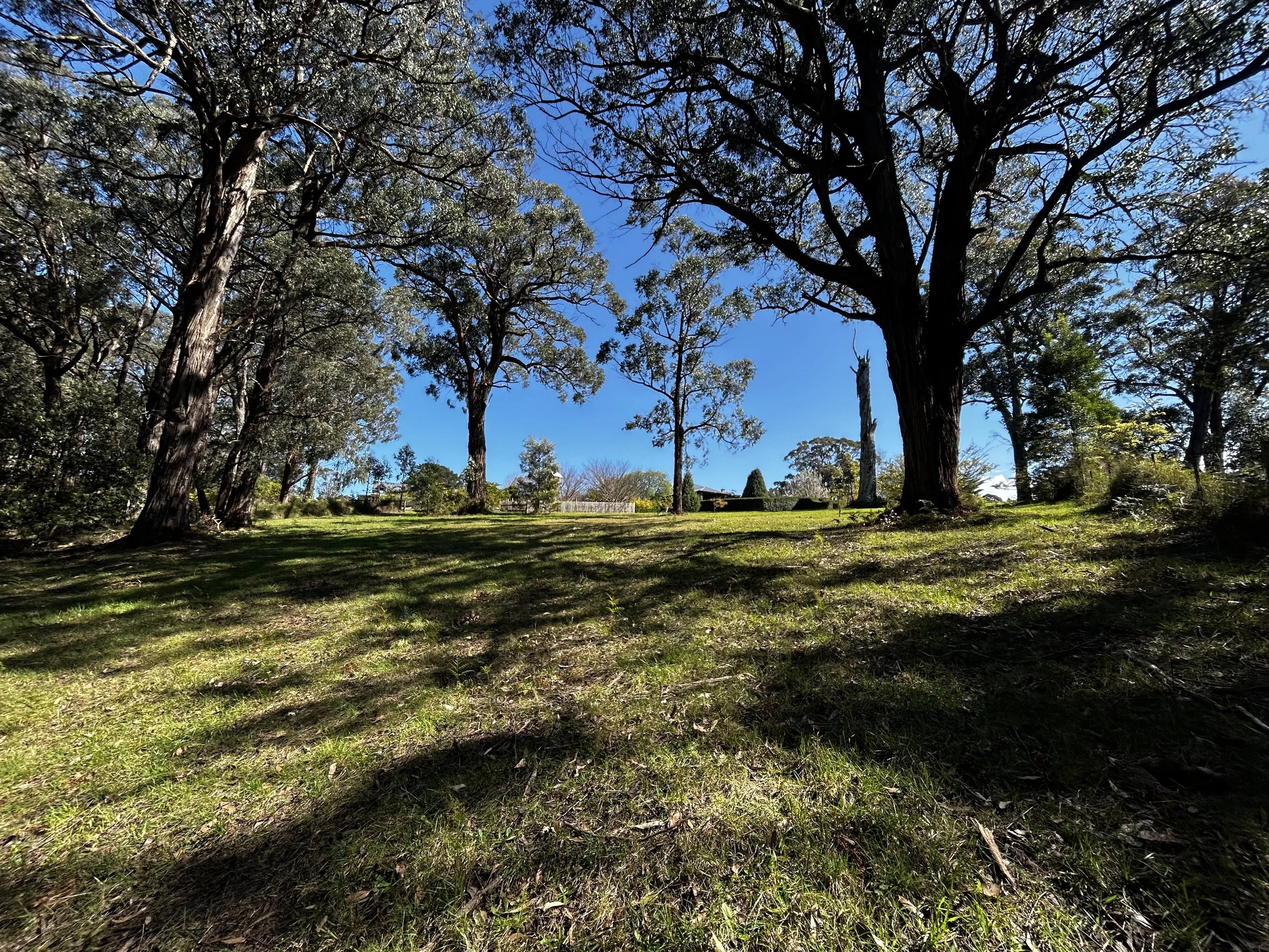 The hill towards the lawn for Qigong