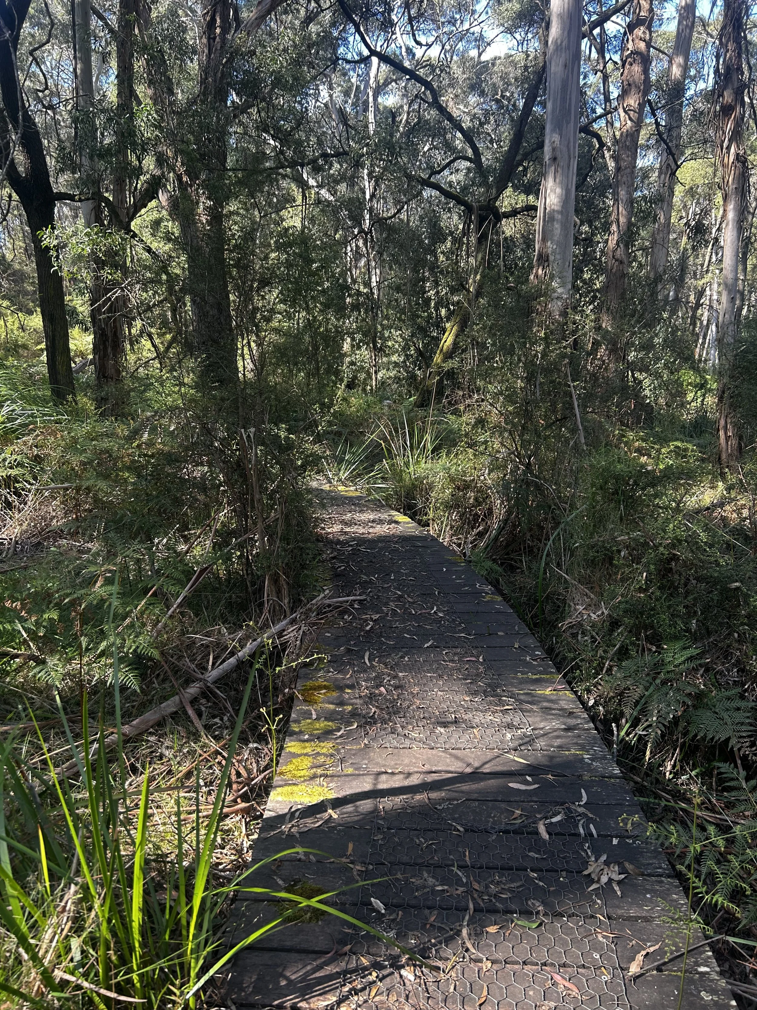 Boardwalk_3.jpg