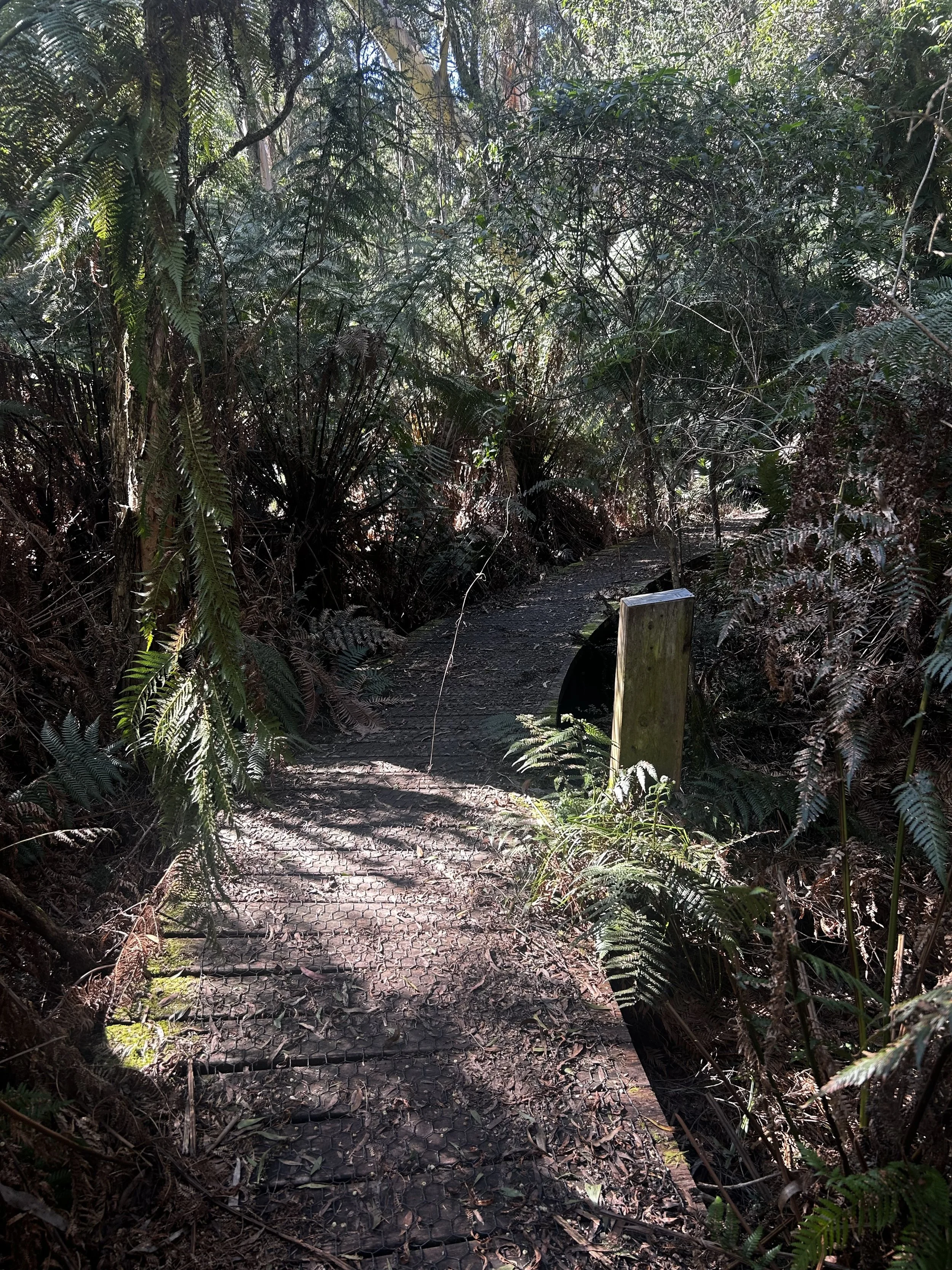 Boardwalk_2.jpg