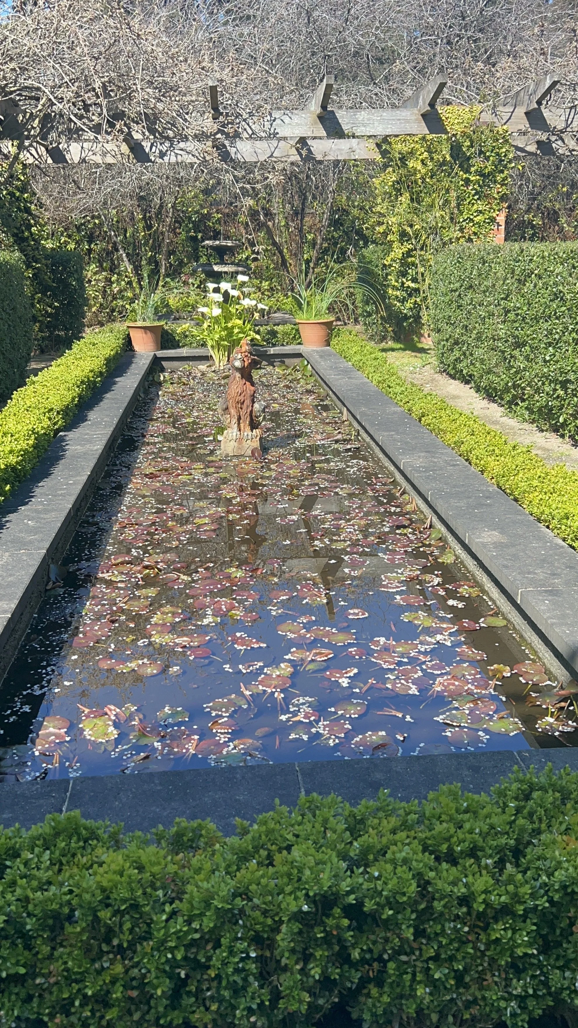 Pond at Peony Farm