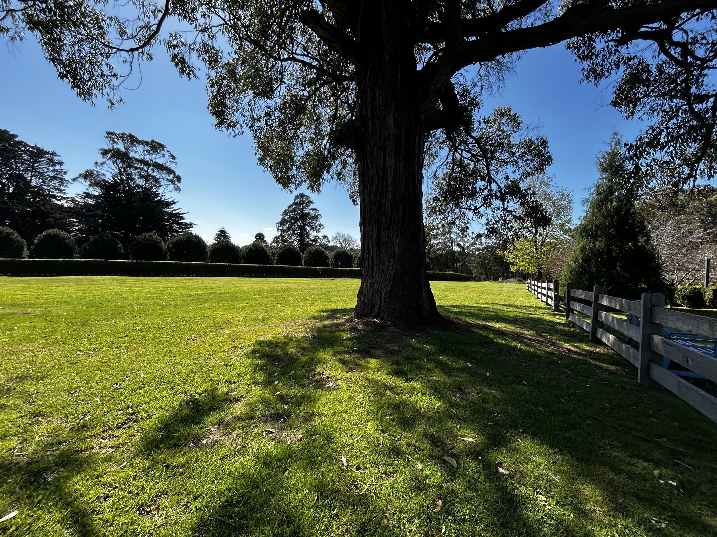 Lawn area for Tai Chi