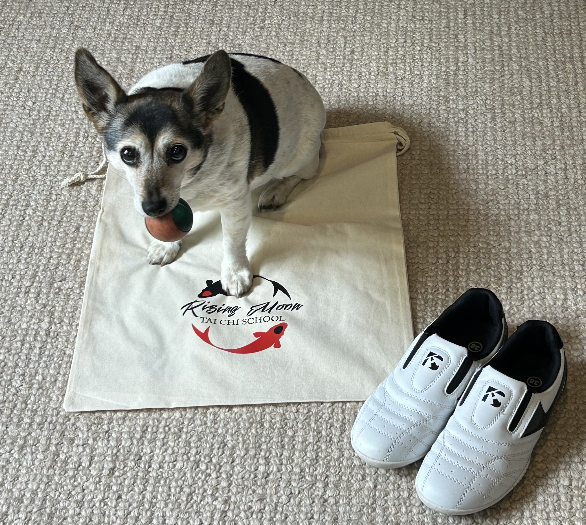 Screenshot 2024-11-10 at 2.14.36 pm.png