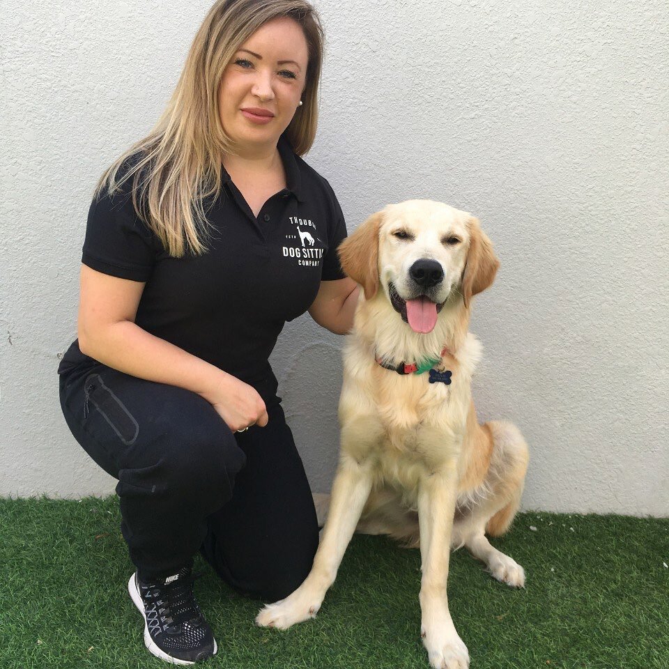 Meet Louise, @dxbdogsit new Dog Trainer and Home Pet Sitter from the UK.
Louise has 16 years experience working with puppies needing basic training, and adult/senior dogs with more challenging behaviour issues. She&rsquo;s judged at numerous dog show