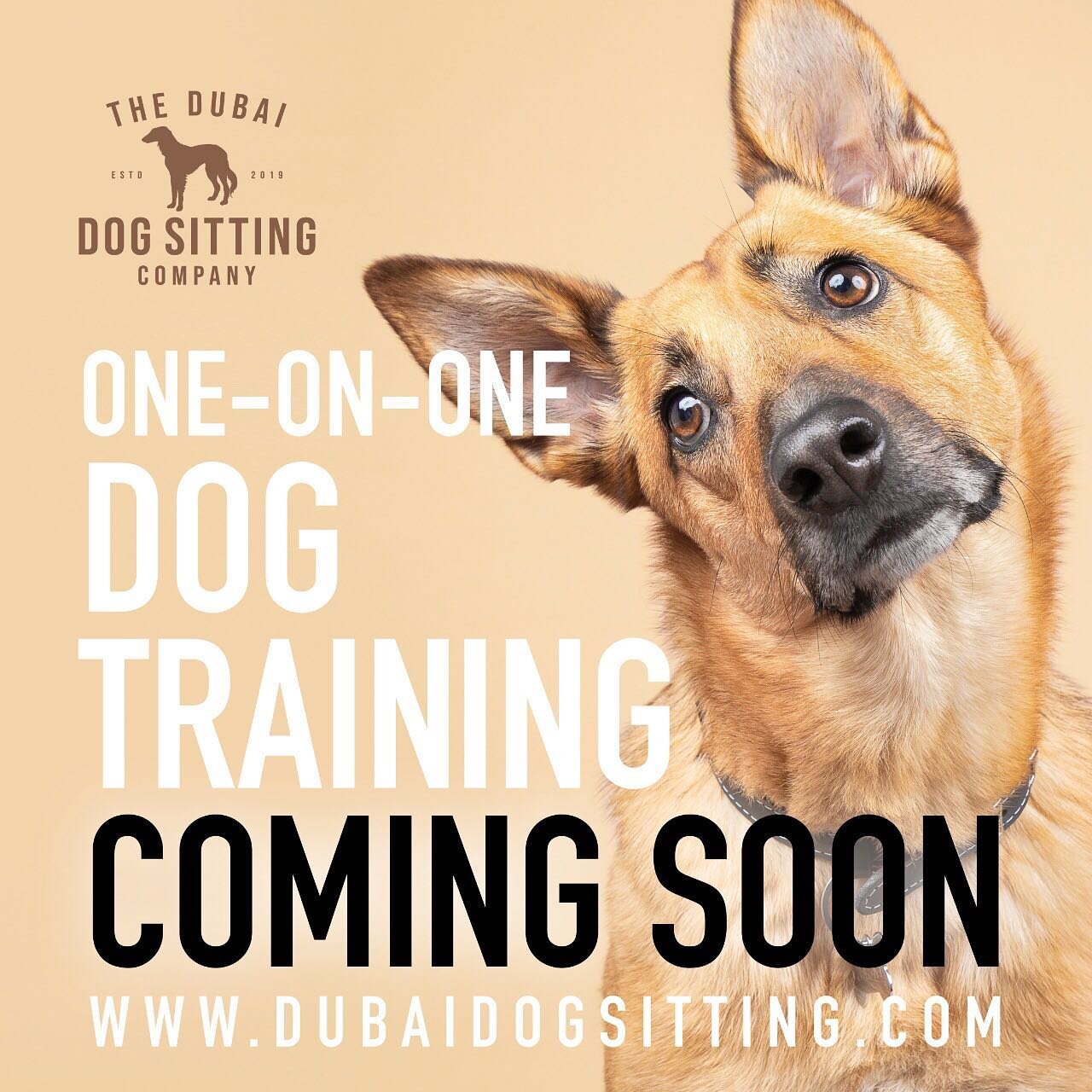 COMING SOON! Get those doggos under control with our force-free training.🐕
@lou_1830 #dubaidogs #dubaidog #dogsindubai #dogtraining #puppytraining #dogbehavior #clickertrained #gooddog