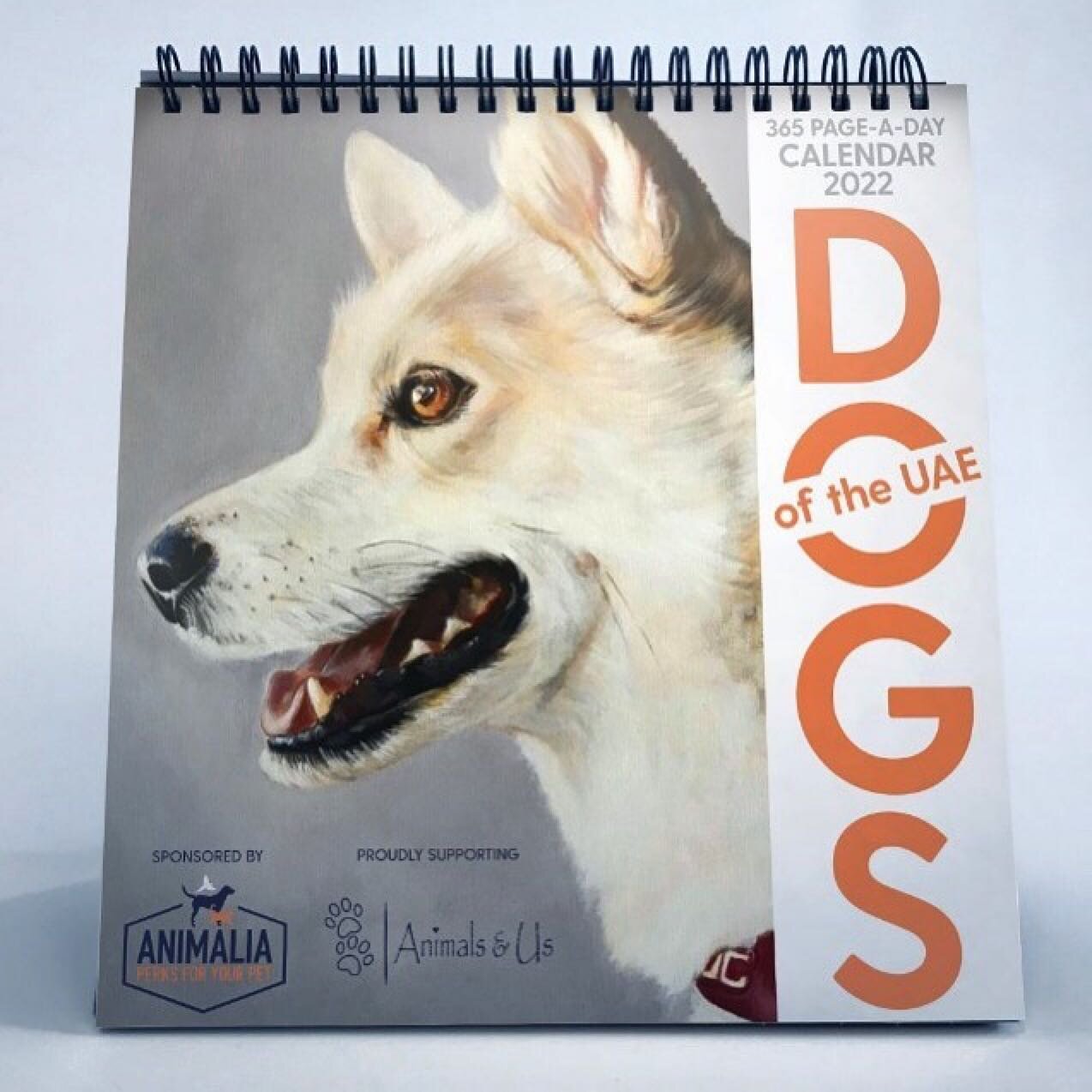 IT&rsquo;S BACK! Dogs of the UAE Calendar 2022&hellip; details coming soon #calendar #2022 #expo2020dubai #dogsuae #dogsindubai #dogsabudhabi @mrpomsky @alexgoddardart @myanimaliaclub @animalsandusfuj