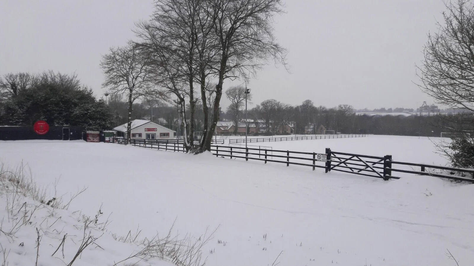 SnowPitch.jpg
