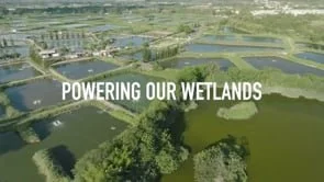 POWERING OUR WETLAND_ WWF HK
